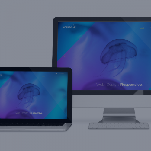 Web Development